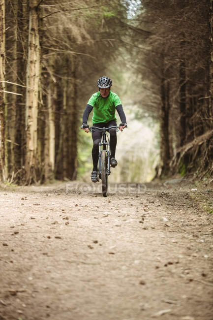 Вид спереду на гірських велосипедистів, які їдуть на брудній дорозі в лісі — стокове фото