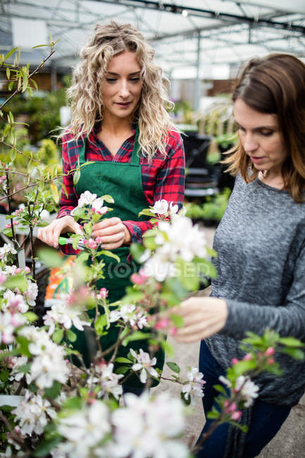 Fiorista e donna che guarda i fiori nel centro del giardino — Foto stock