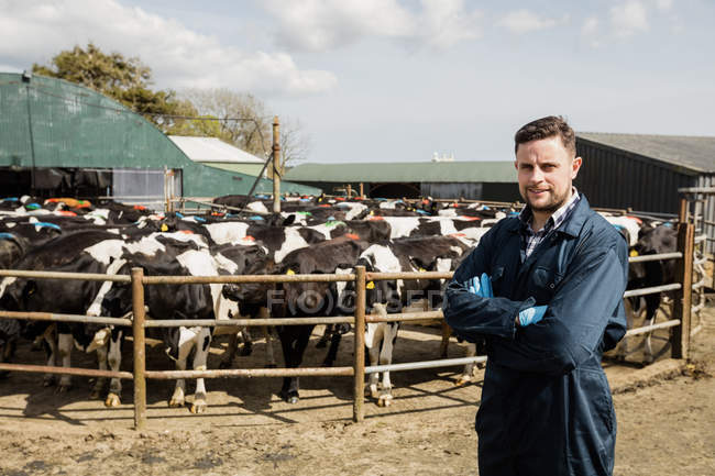 Retrato de trabalhador agrícola em pé contra vacas por cerca — Fotografia de Stock