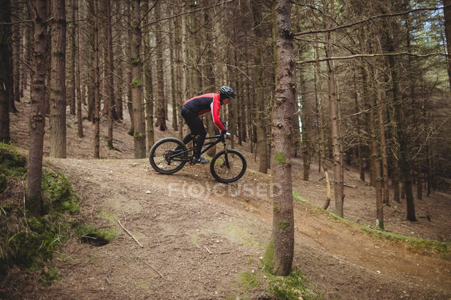 Vista lateral do ciclista de montanha andando em meio a árvore na floresta — Fotografia de Stock