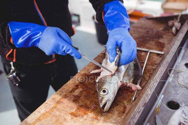 Imagen recortada de pescador fileteado pescado en barco - foto de stock