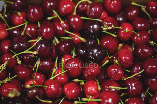 Close-up of red cherries in supermarket — Stock Photo