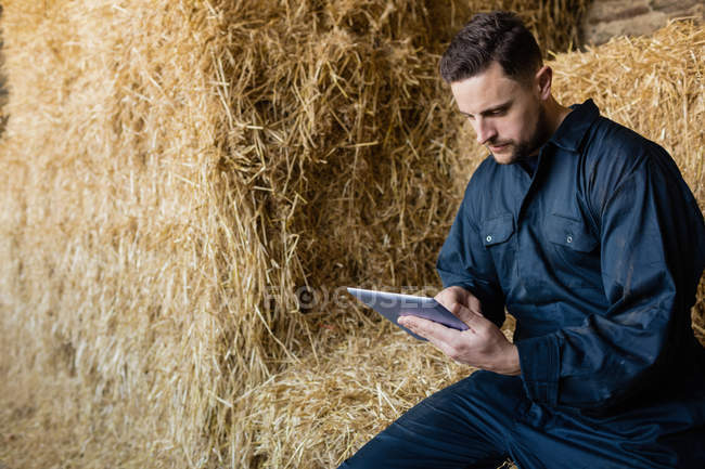Agricultor usando tableta digital mientras está sentado en la paca de heno en el granero - foto de stock