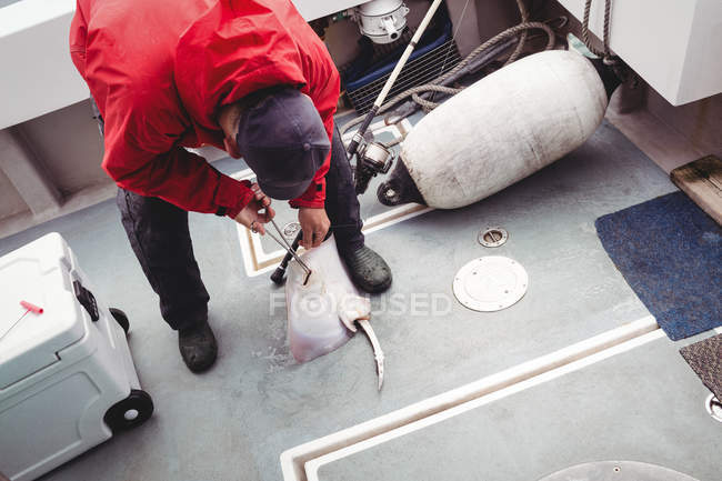 Pescatore rimozione gancio da pesci raggio sulla barca — Foto stock
