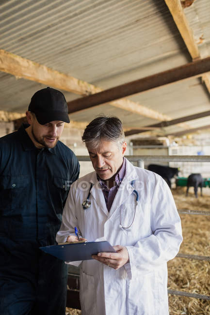 Vet discussing with farmer over clipboard by fence in barn — Stock Photo