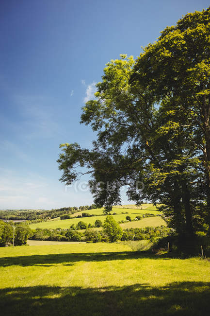 Malerische Aussicht auf schöne ländliche Landschaft bei Tag — Stockfoto
