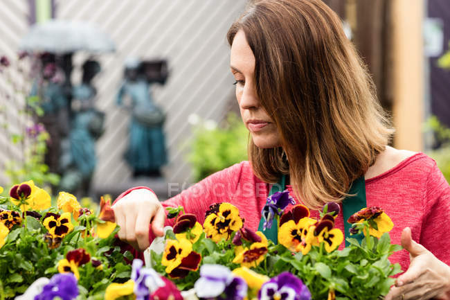 Fleuriste femelle vérifiant les plantes dans le centre de jardin — Photo de stock