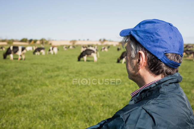 Vista lateral del agricultor parado en el campo mientras las vacas pastan en el fondo - foto de stock
