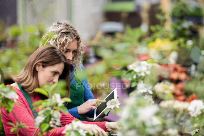 Duas floristas femininas usando tablet digital enquanto verificam plantas no centro de jardim — Fotografia de Stock