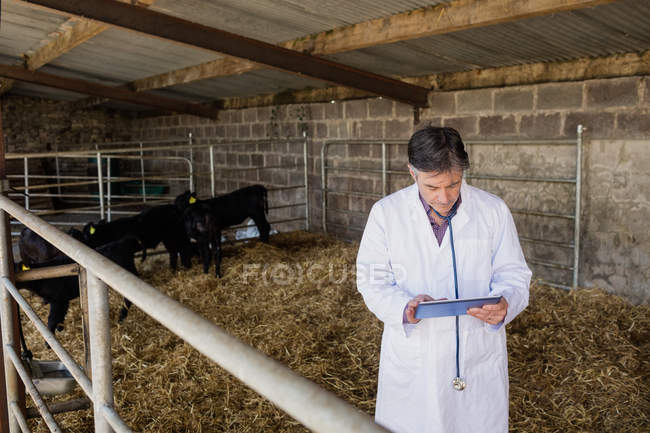 Tierarzt mit digitalem Tablet durch Zaun im Stall — Stockfoto