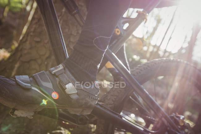 Unterer Abschnitt der Mountainbiker fahren im Wald — Stockfoto