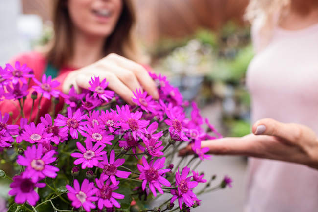 Image recadrée de Fleuriste et femme vérifiant les fleurs dans le centre de jardin — Photo de stock