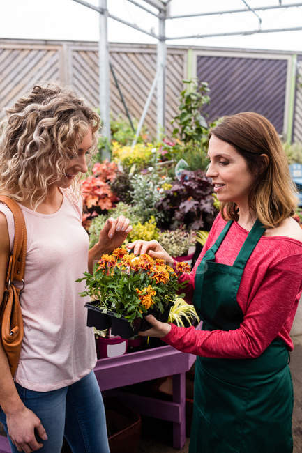 Floristería femenina hablando con la mujer sobre plantas en el centro del jardín - foto de stock