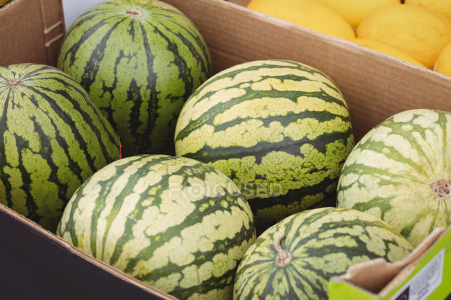 Nahaufnahme von Wassermelonen im Supermarkt — Stockfoto