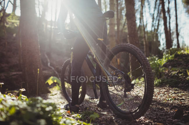 Низька ділянка гірського велосипедиста в лісі в сонячний день — стокове фото