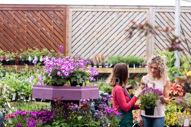 Fleuriste montrant des fleurs à la femme dans le centre de jardin — Photo de stock