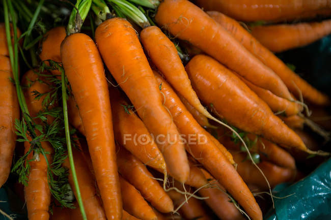 Primo piano di carote fresche nel supermercato — Foto stock