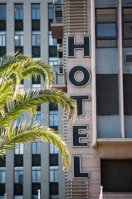 Fachada do edifício do hotel e palmeira à luz do dia — Fotografia de Stock