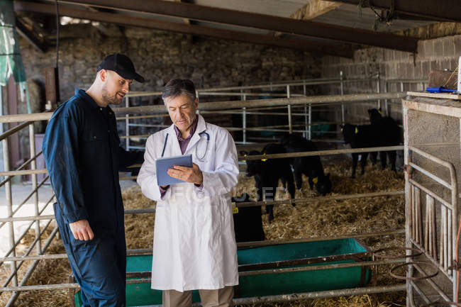 Tierarzt und Landarbeiter schauen in digitales Tablet, während sie am Zaun am Stall stehen — Stockfoto
