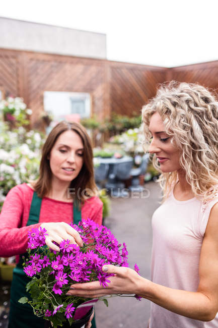 Florista e mulher olhando para a flor no centro do jardim — Fotografia de Stock