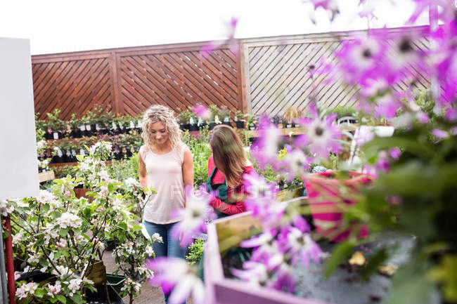 Florista hablando con la mujer que compra la planta en el centro de jardín - foto de stock