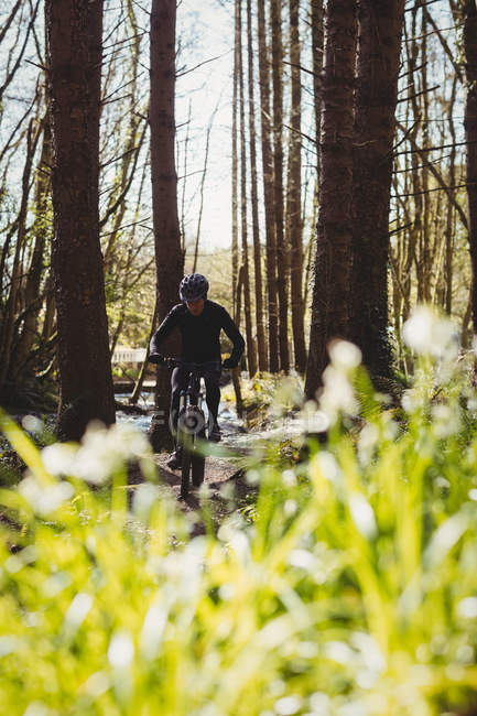 Vista frontal del ciclista de montaña en el bosque - foto de stock
