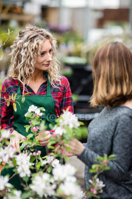 Florista falando com mulher sobre plantas no centro de jardim — Fotografia de Stock