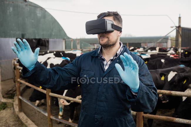Jovem agricultor usando simulador de realidade virtual contra vacas no celeiro — Fotografia de Stock