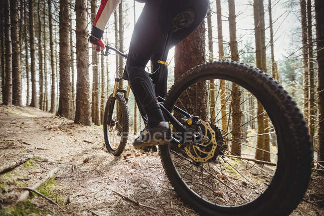 Низька частина гірських велосипедистів, що катаються на деревах у лісі — стокове фото