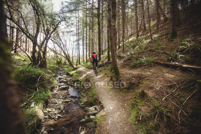 Mountain biker riding on trail by tree in forest — Stock Photo