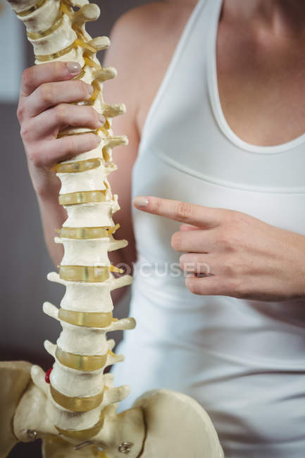 Sección media de la fisioterapeuta femenina que señala el modelo de columna vertebral en la clínica - foto de stock