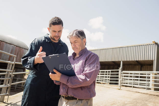 Low angle view of farmer and vet looking in clipboard on sunny day — Stock Photo