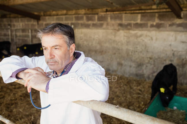 Вдумливий ветеринар спирається на паркан в сараї — стокове фото