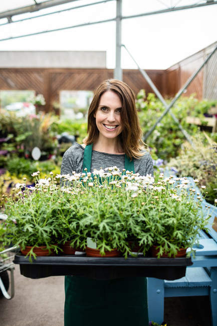 Portrait d'une fleuriste tenant un plateau de plantes en pot dans un centre de jardin — Photo de stock