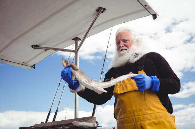 Низький кут зору Щасливий рибалка тримає рибу на човні — стокове фото