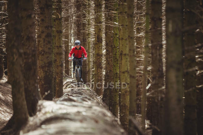 Front view of mountain biker riding on dirt road amidst trees in forest — Stock Photo