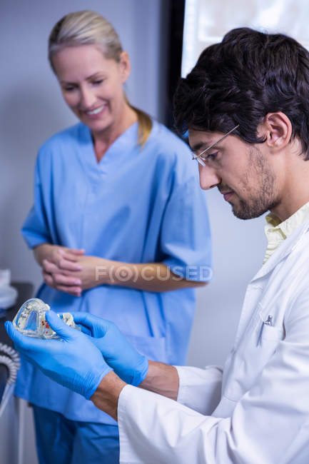 Стоматолог і стоматолог, дивлячись на модель рота — стокове фото