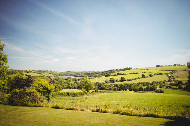 Vista panoramica di un bellissimo paesaggio rurale durante il giorno — Foto stock