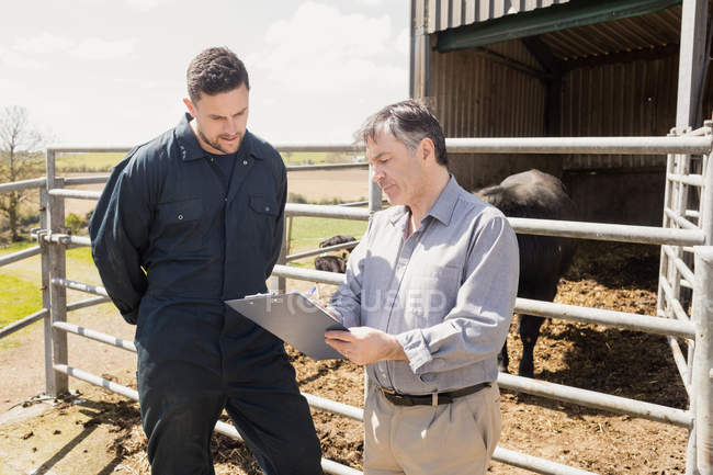 Vet and farm worker discussing over clipboard by fence on sunny day — Stock Photo