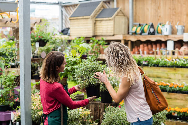 Frau überprüft Topfpflanzen in Gartencenter — Stockfoto