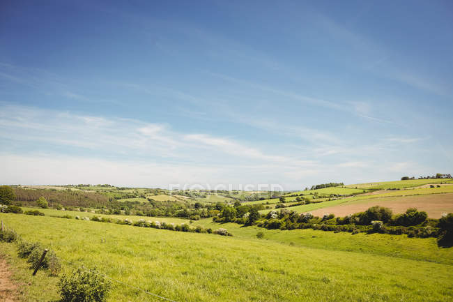 Malerische Aussicht auf schöne ländliche Landschaft bei Tag — Stockfoto