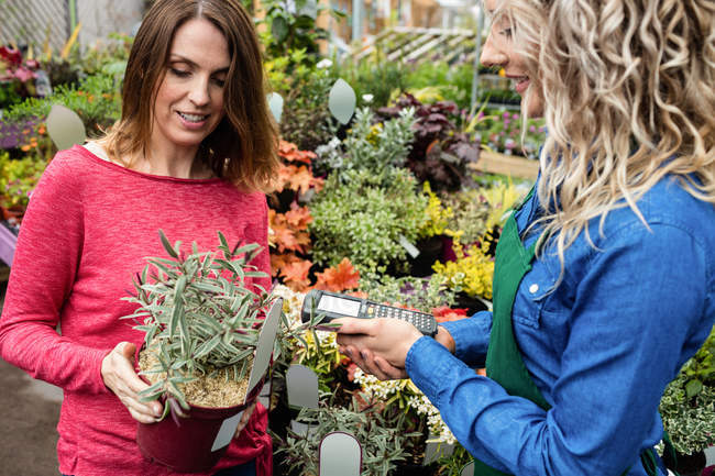 Mujer comprando planta en maceta en el centro del jardín - foto de stock