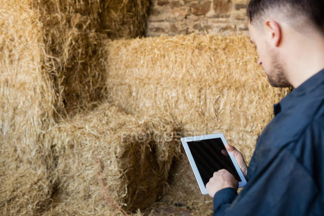 Vista lateral do trabalhador agrícola usando tablet digital por fardos de feno no celeiro — Fotografia de Stock