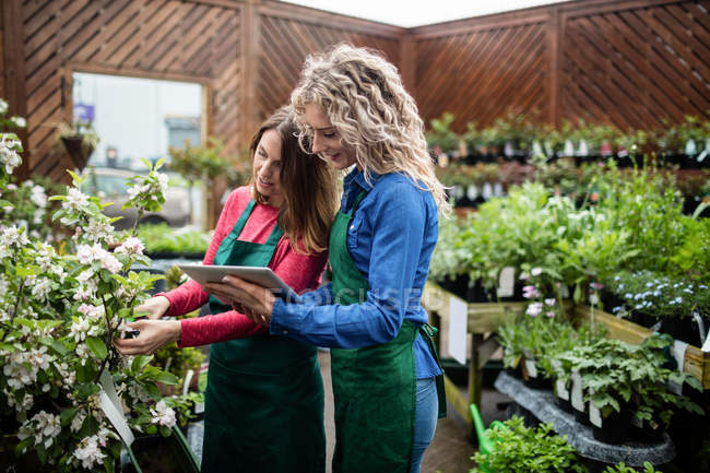 Duas floristas femininas usando tablet digital enquanto verificam plantas no centro de jardim — Fotografia de Stock