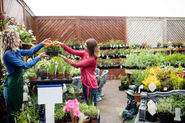 Seitenansicht einer Frau, die Topfpflanzen im Gartencenter kauft — Stockfoto