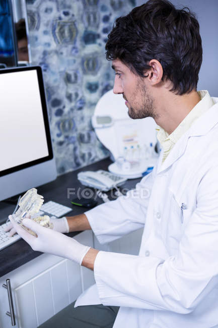 Dentiste tenant un modèle de bouche tout en travaillant sur ordinateur à la clinique dentaire — Photo de stock