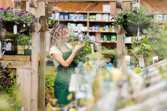 Femmina fiorista guardando pianta in vaso nel centro giardino — Foto stock