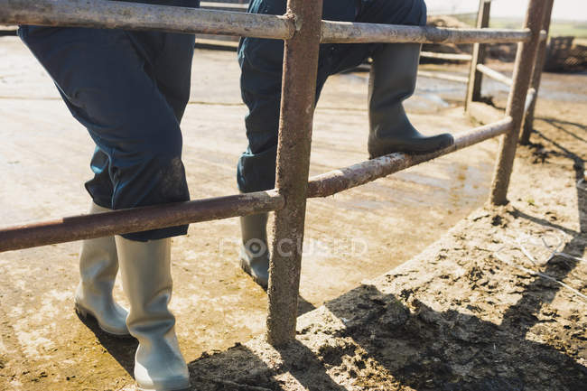 Low section of farm workers standing by fence at field — Stock Photo