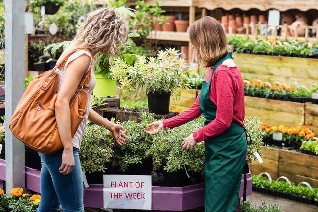 Fleuriste féminine montrant des plantes en pot à une femme dans un centre de jardin — Photo de stock