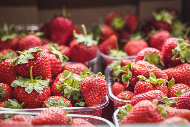 Nahaufnahme von Erdbeeren in Plastikboxen im Supermarkt — Stockfoto